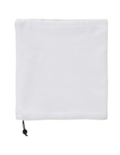 BR2009_2009_02_1_1.jpg 2