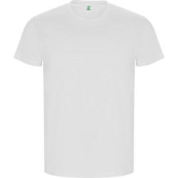 CA6690_6690_132_1_2.jpg 2